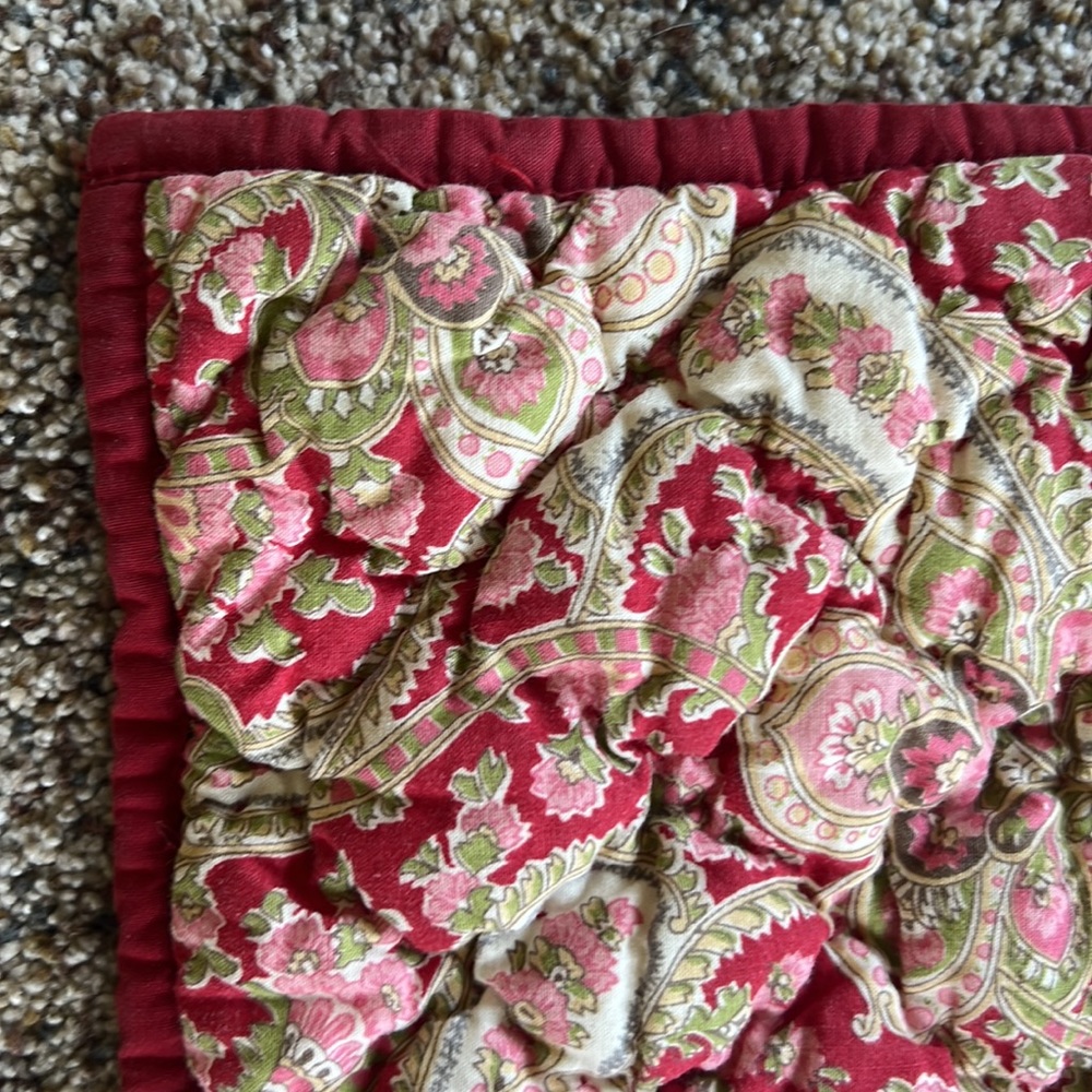 Pottery Barn Set of 2 standard size Shams “Georgia” pattern